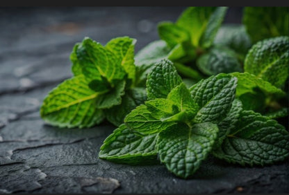 Blackberry & Lavender Raw Honey Soap Collection (Colloidal Oatmeal Optional-Choose Scents)