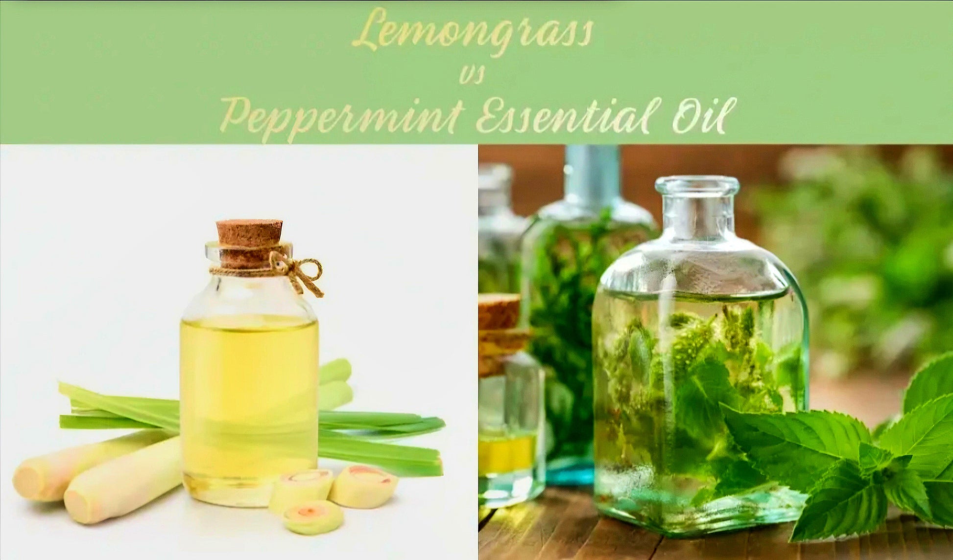 50ml- Egyptian Alchemy Moringa & Lotus Blue Absolute Bewitched*  by -BeTTerSkin Holistics - Tartarian Treasures & Trinkets