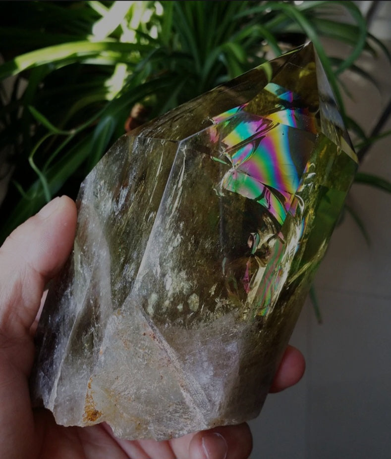 AAA Huge Sparkling RAINBOW SMOKY CITRINE  Brazilian Quartz Crystal Clear Transparent Head Sharp Point 2.12lbs Record Keeper - Tartarian Treasures & Trinkets