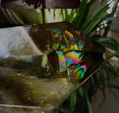 AAA Huge Sparkling RAINBOW SMOKY CITRINE  Brazilian Quartz Crystal Clear Transparent Head Sharp Point 2.12lbs Record Keeper - Tartarian Treasures & Trinkets